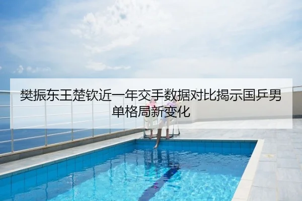 樊振东王楚钦近一年交手数据对比揭示国乒男单格局新变化