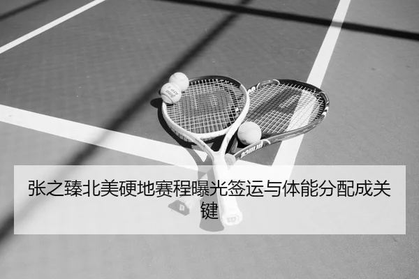 张之臻北美硬地赛程曝光签运与体能分配成关键